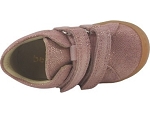 Bellamy stella rose2475902_4